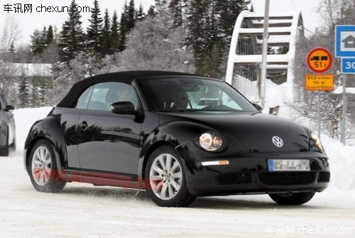 2013甲殼蟲 2013甲殼蟲