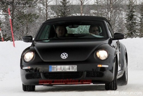 2013甲殼蟲 2013甲殼蟲