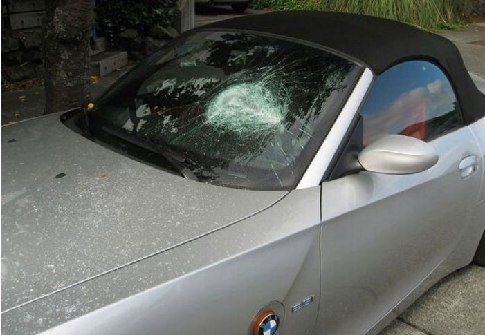 亂停車的悲劇 亂停車的悲劇