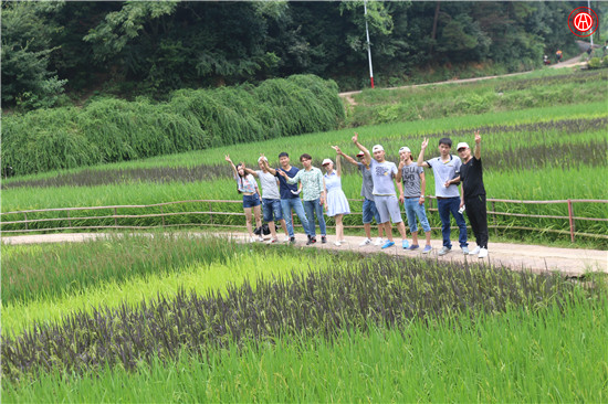 中華汽車網校韶山-花明樓一日游記@ahlsjy.cn 中華汽車網校韶山-花明樓一日游記@ahlsjy.cn
