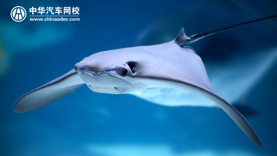 法拉利飛行器有望成為人類代步工具@ahlsjy.cn